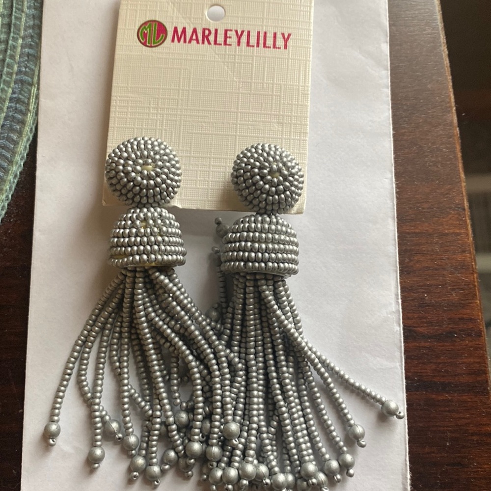Earrings NWT